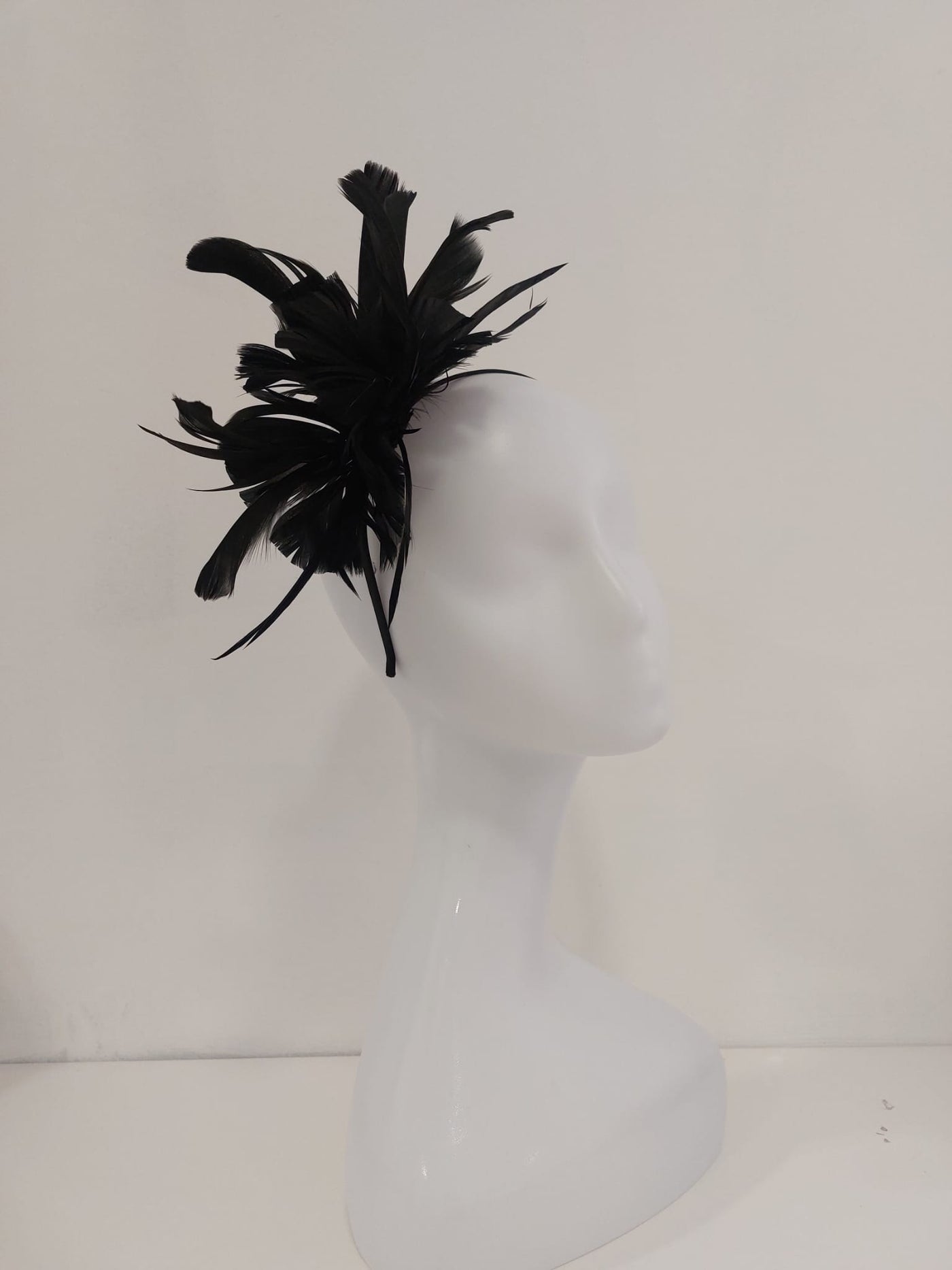 Colleen Fascinator